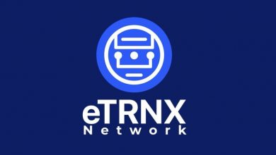 eternex-network-(etrnx):-is-this-the-next-100x-altcoin?