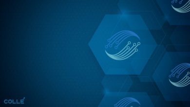 colle-ai-drives-platform-expansion-through-targeted-developer-optimization-features