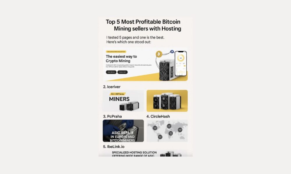 top-5-most-profitable-bitcoin-mining-sellers-with-hosting